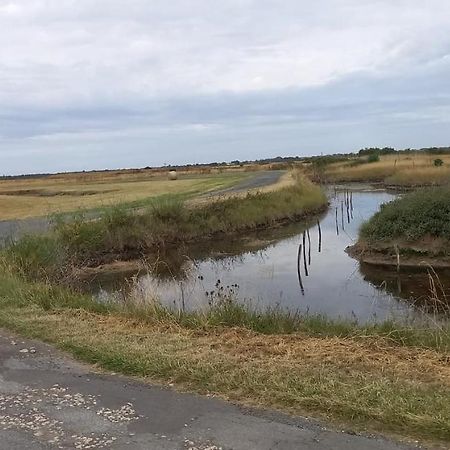 En Plein Coeur De L'Ile D'Oleron, Suite Parentale. Dolus d'Oléron Eksteriør billede