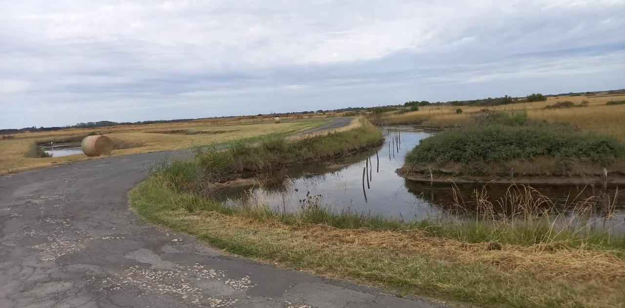 En Plein Coeur De L'Ile D'Oleron, Suite Parentale. Dolus d'Oléron Eksteriør billede